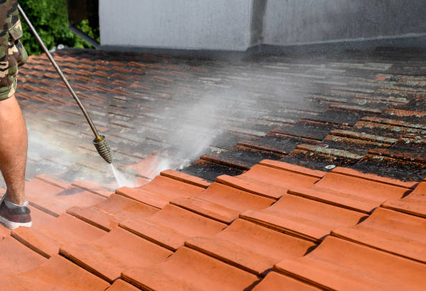 Best Sidewalk Pressure Washing  in Clinton, NY